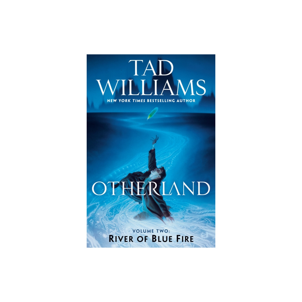Produktbild för Otherland: River of Blue Fire (häftad, eng)
