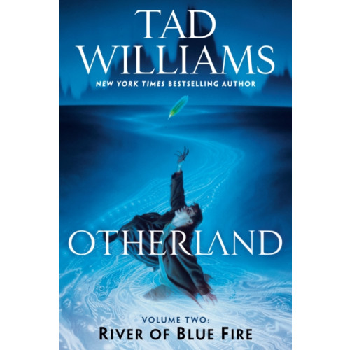 Not Stated Otherland: River of Blue Fire (häftad, eng)