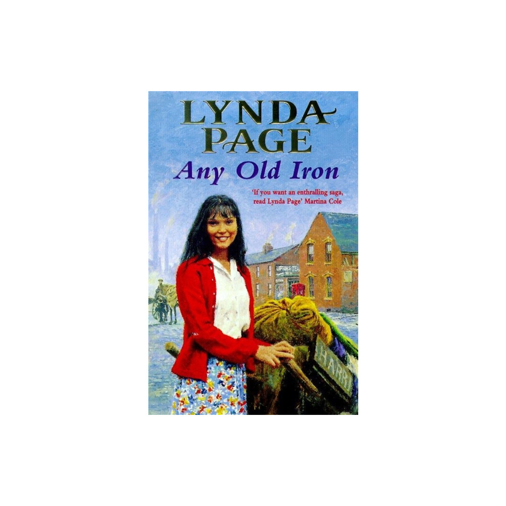 Produktbild för Any Old Iron (häftad, eng)
