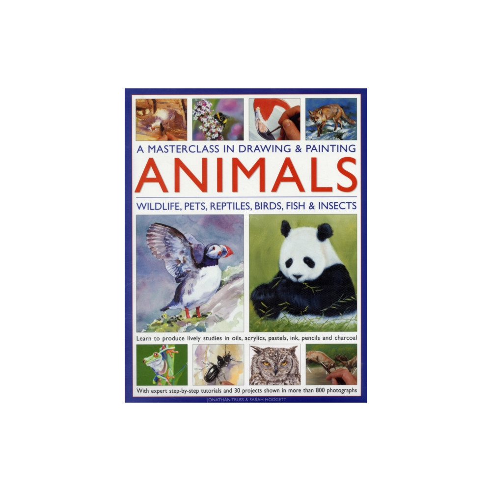 Produktbild för Masterclass in Drawing & Painting Animals (inbunden, eng)