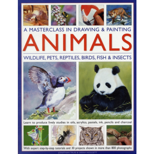 Anness publishing Masterclass in Drawing & Painting Animals (inbunden, eng)