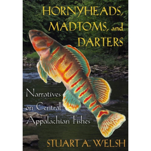 Ohio University Press Hornyheads, Madtoms, and Darters (häftad, eng)