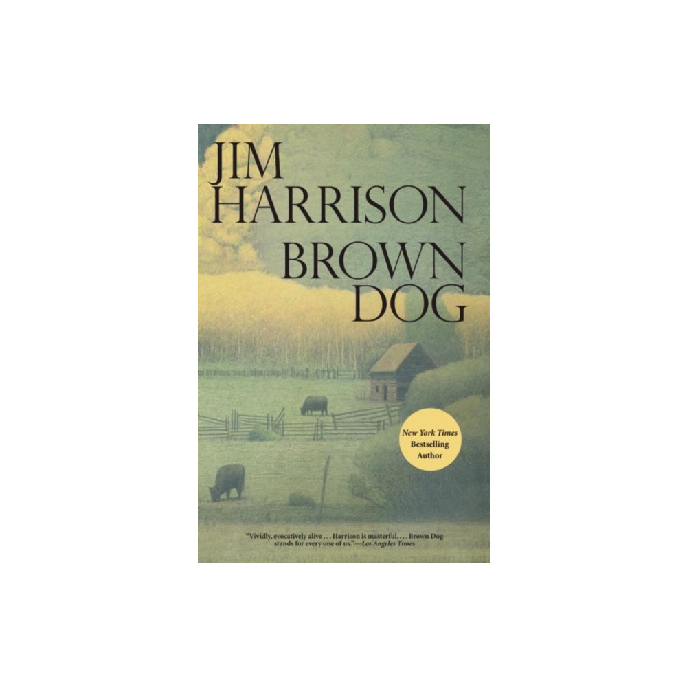 Produktbild för Brown Dog (häftad, eng)