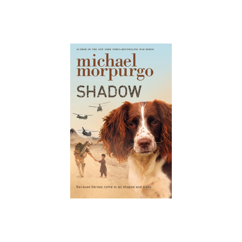 Produktbild för Shadow (häftad, eng)