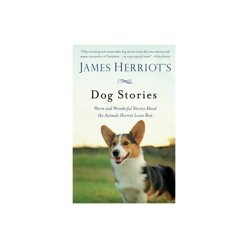Produktbild för James Herriot's Dog Stories (häftad, eng)