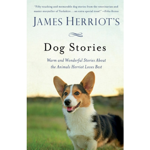 St. Martin's Publishing Group James Herriot's Dog Stories (häftad, eng)