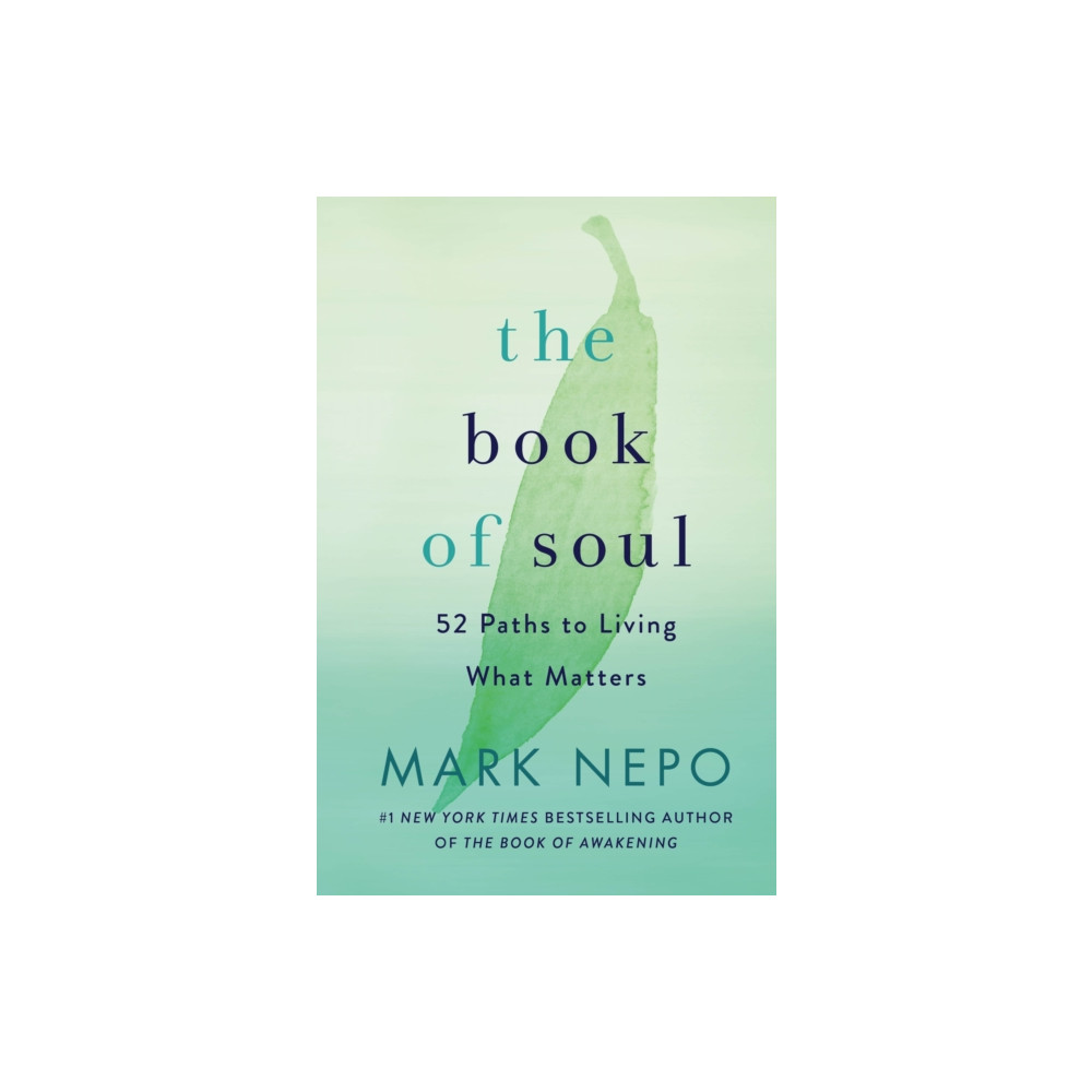 Produktbild för Book of Soul (inbunden, eng)