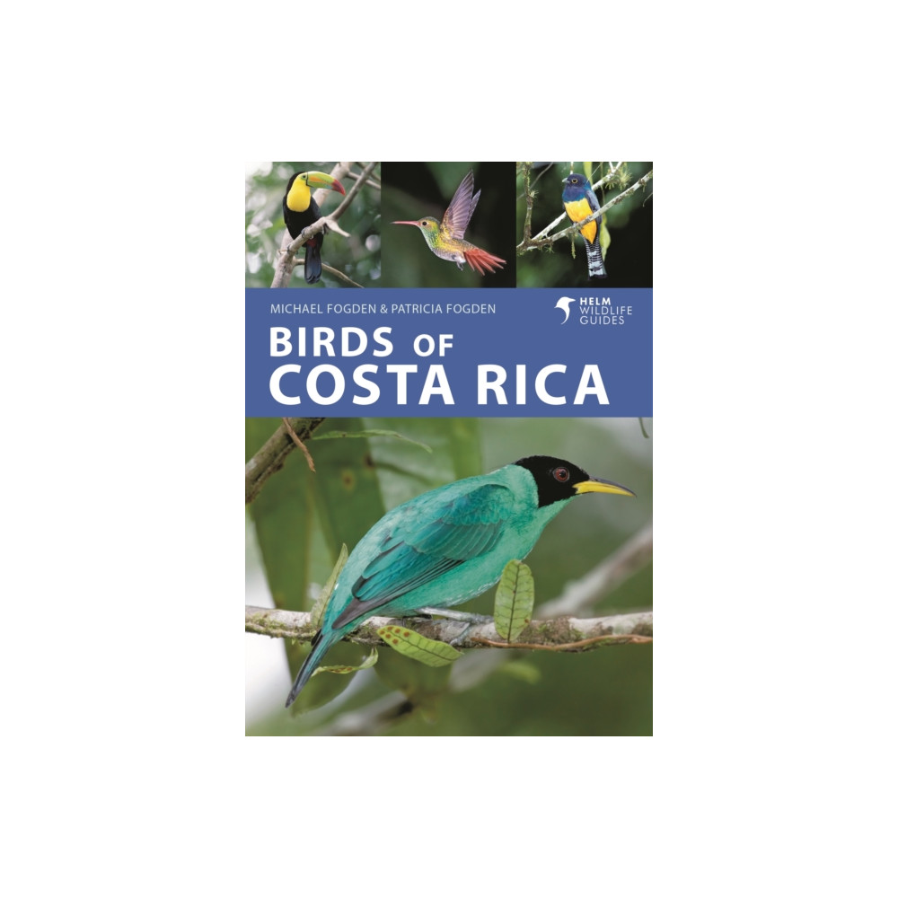 Produktbild för Birds of Costa Rica (häftad, eng)