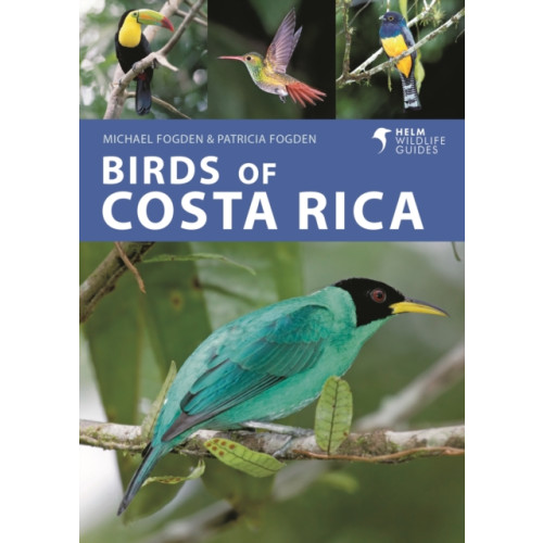 Bloomsbury Publishing PLC Birds of Costa Rica (häftad, eng)