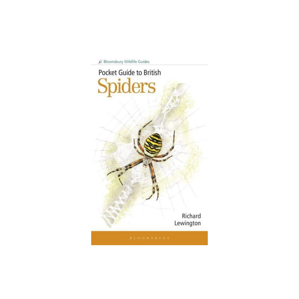 Produktbild för Pocket Guide to British Spiders (häftad, eng)