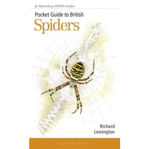 Bloomsbury Publishing PLC Pocket Guide to British Spiders (häftad, eng)