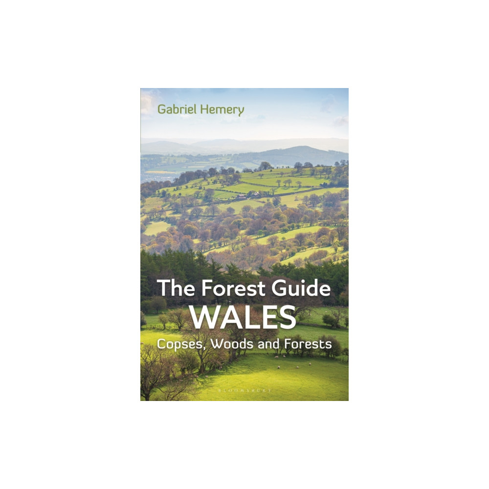 Produktbild för The Forest Guide: Wales (häftad, eng)