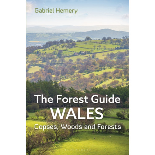 Bloomsbury Publishing PLC The Forest Guide: Wales (häftad, eng)