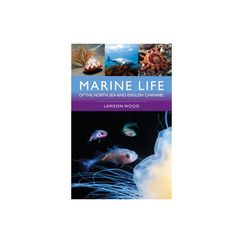 Produktbild för Marine Life of the North Sea and English Channel (häftad, eng)