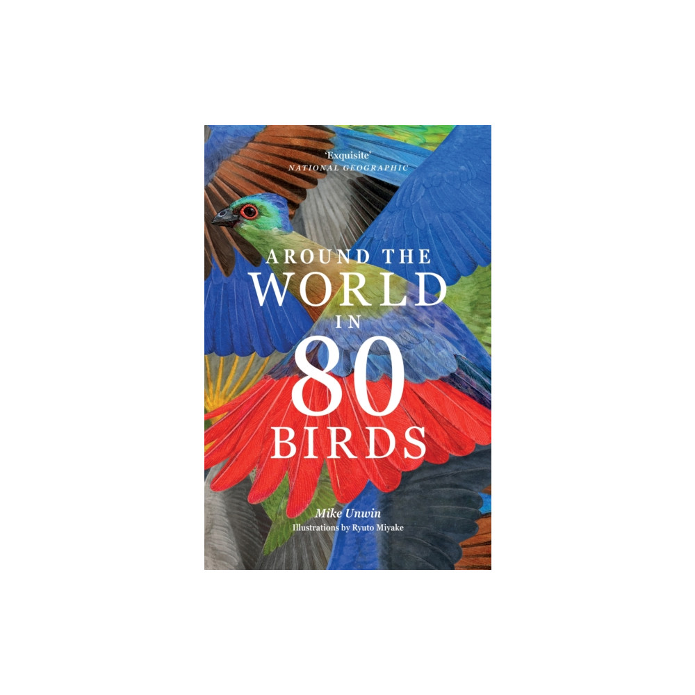 Produktbild för Around the World in 80 Birds (häftad, eng)