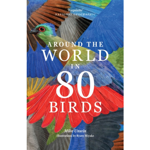 Orion Publishing Co Around the World in 80 Birds (häftad, eng)