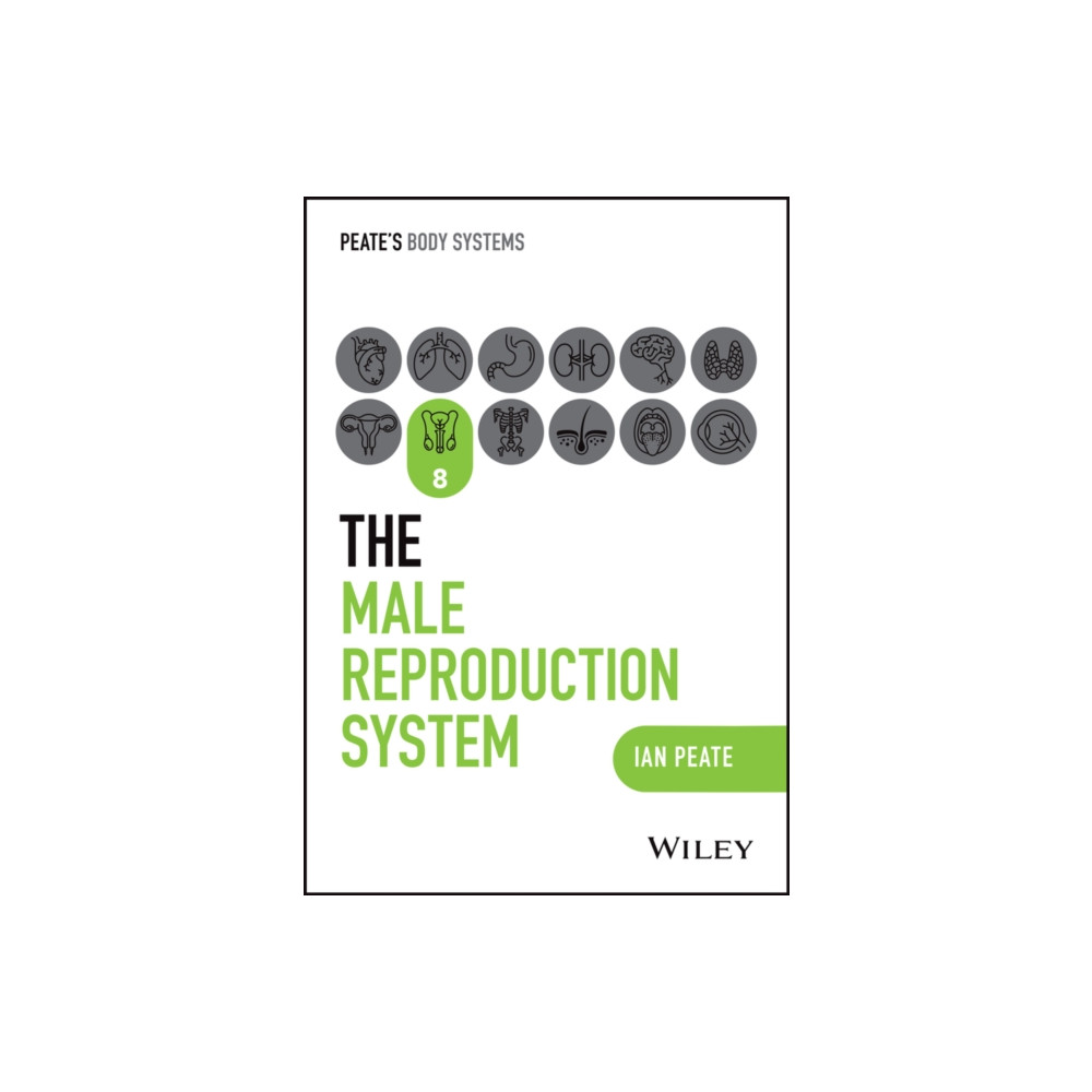 Produktbild för The Male Reproductive System (häftad, eng)