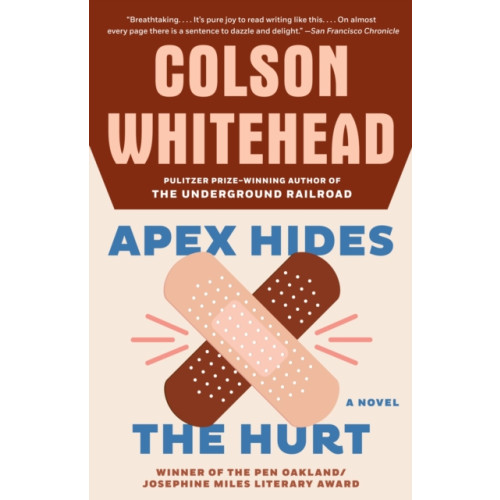 Knopf Doubleday Publishing Group Apex Hides the Hurt (häftad, eng)