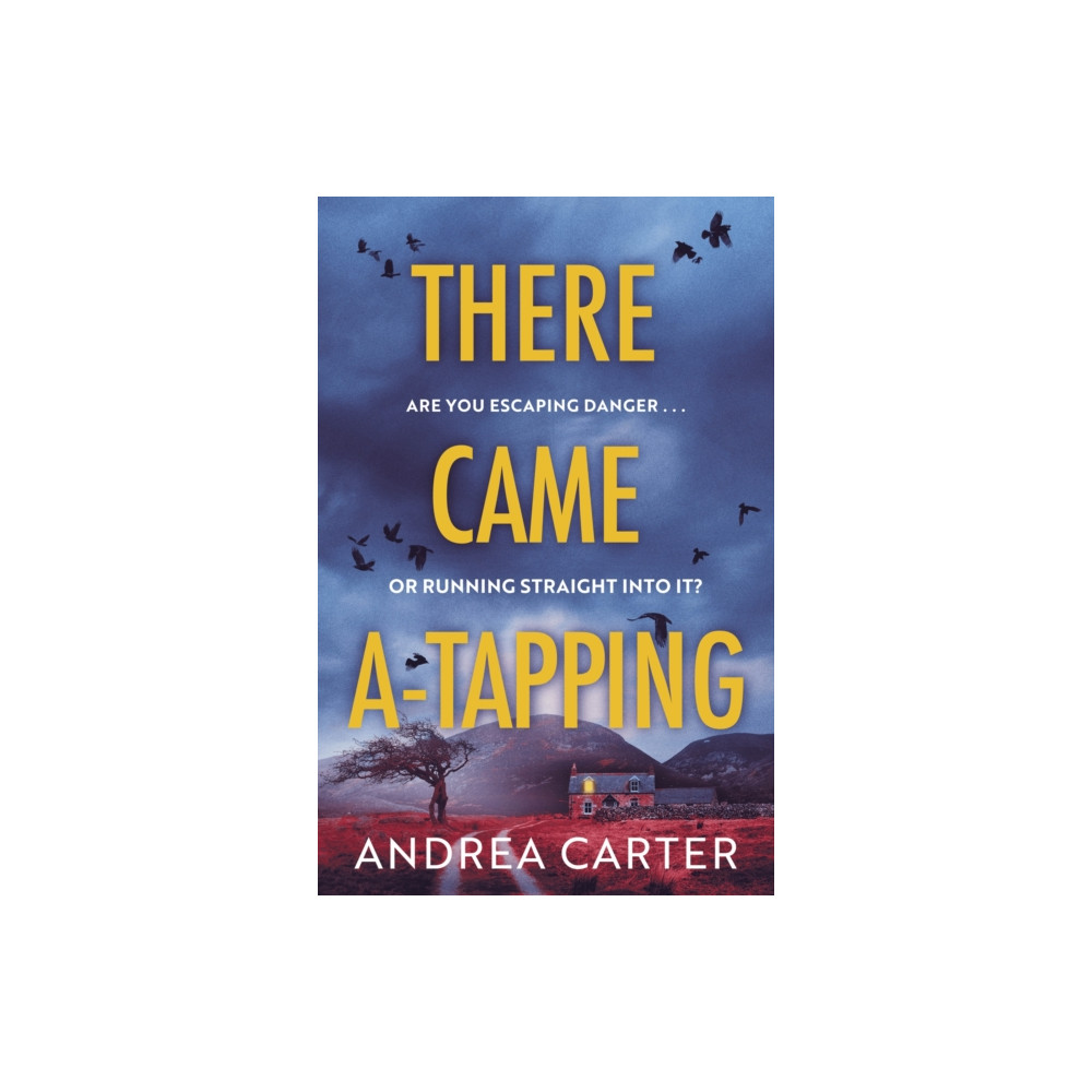 Produktbild för There Came A-Tapping (häftad, eng)