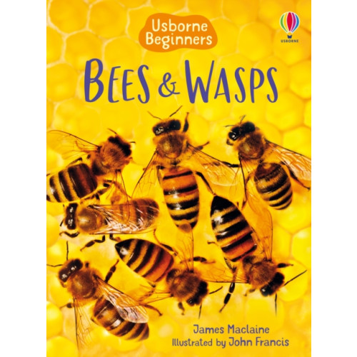 Usborne Publishing Ltd Bees and Wasps (inbunden, eng)