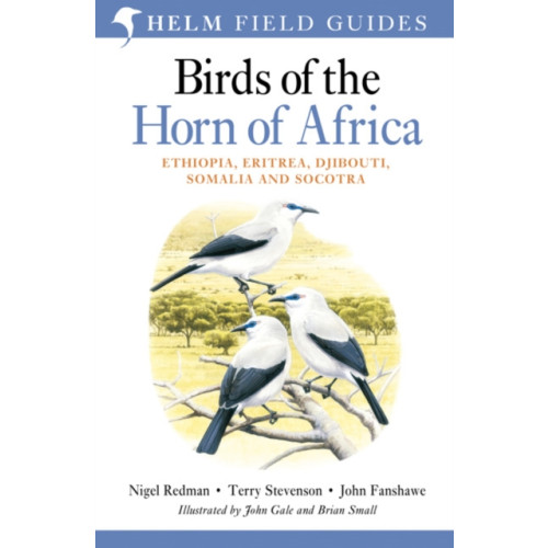 Bloomsbury Publishing PLC Field Guide to Birds of the Horn of Africa (häftad, eng)