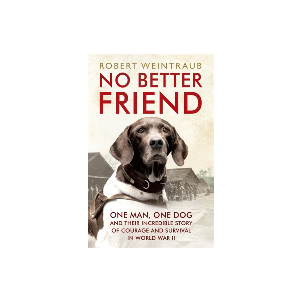 Produktbild för No Better Friend (häftad, eng)