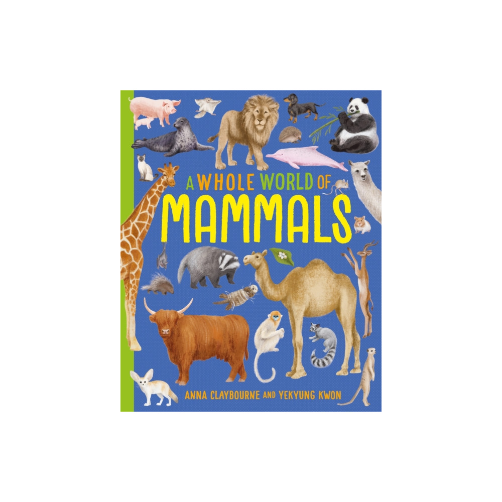 Produktbild för A Whole World of...: Mammals (häftad, eng)
