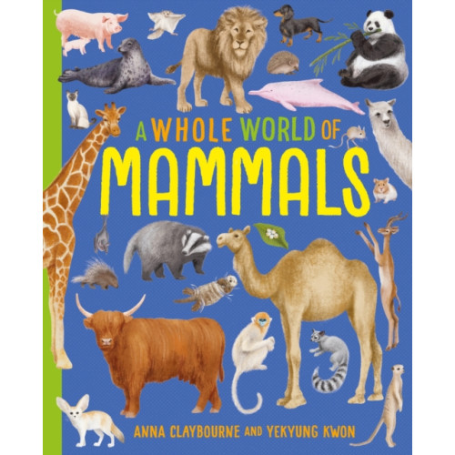 Hachette Children's Group A Whole World of...: Mammals (häftad, eng)