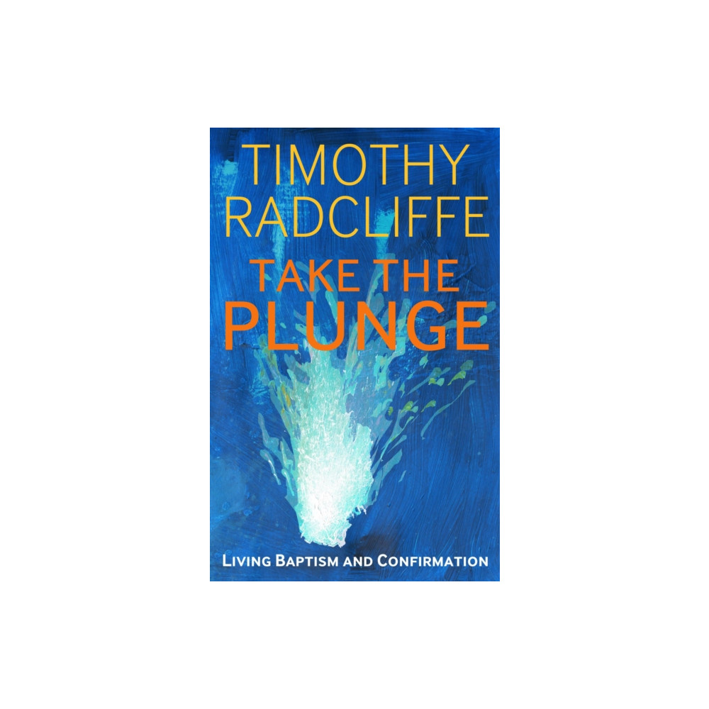 Produktbild för Take the Plunge (häftad, eng)