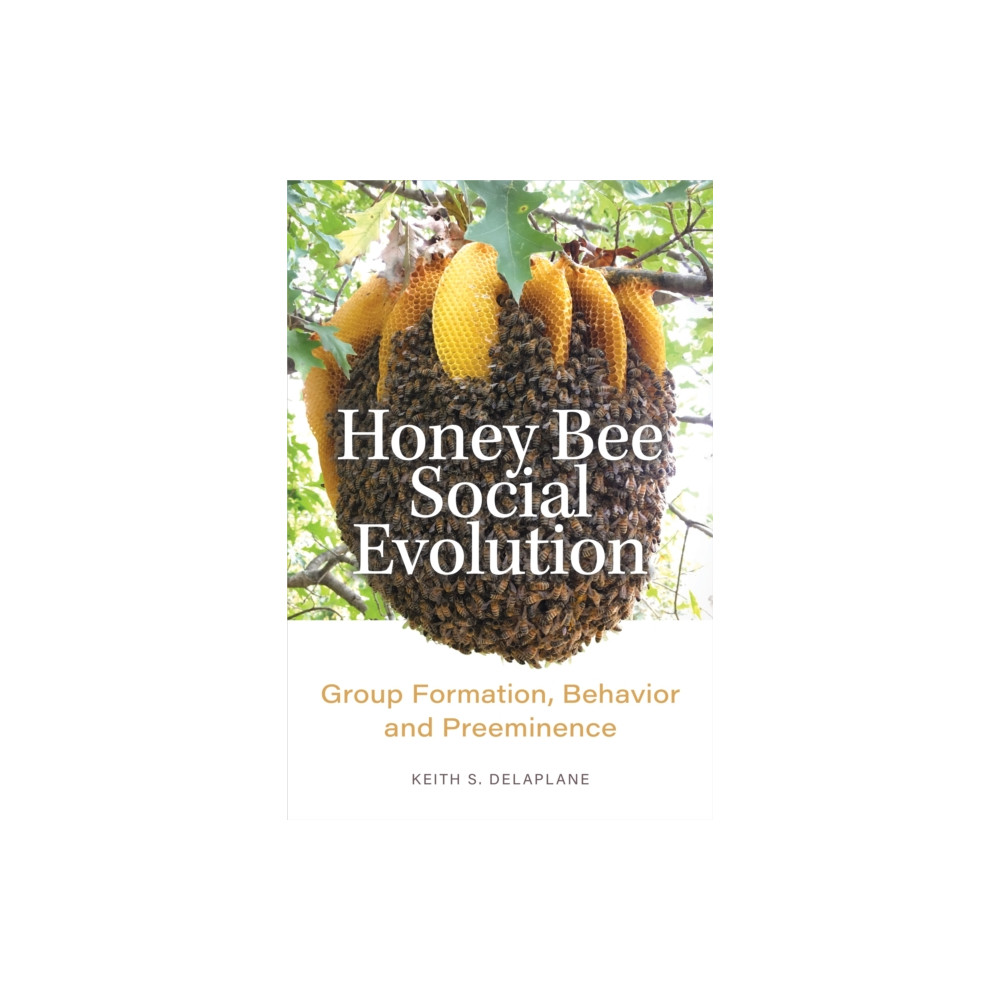 Produktbild för Honey Bee Social Evolution (inbunden, eng)