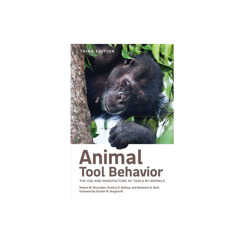Produktbild för Animal Tool Behavior (inbunden, eng)