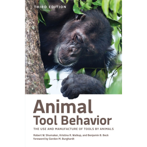 Johns Hopkins University Press Animal Tool Behavior (inbunden, eng)