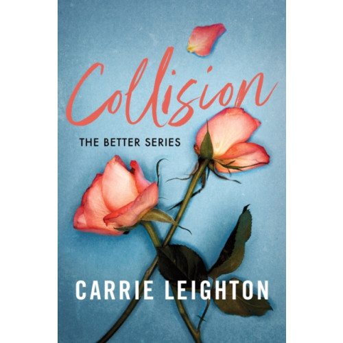 Sourcebooks, Inc Collision (häftad, eng)