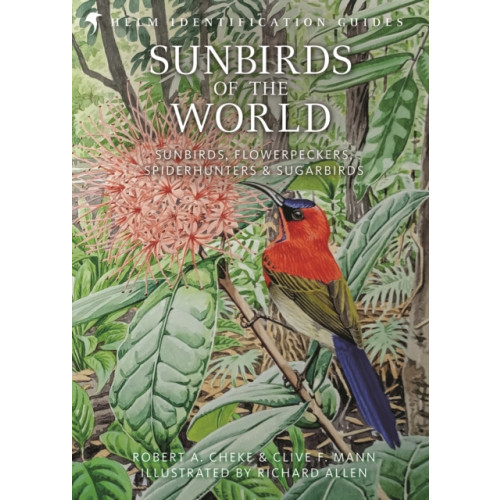 Bloomsbury Publishing PLC Sunbirds of the World (inbunden, eng)