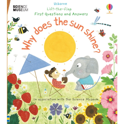 Usborne Publishing Ltd First Questions and Answers: Why Does the Sun Shine? (bok, board book, eng)