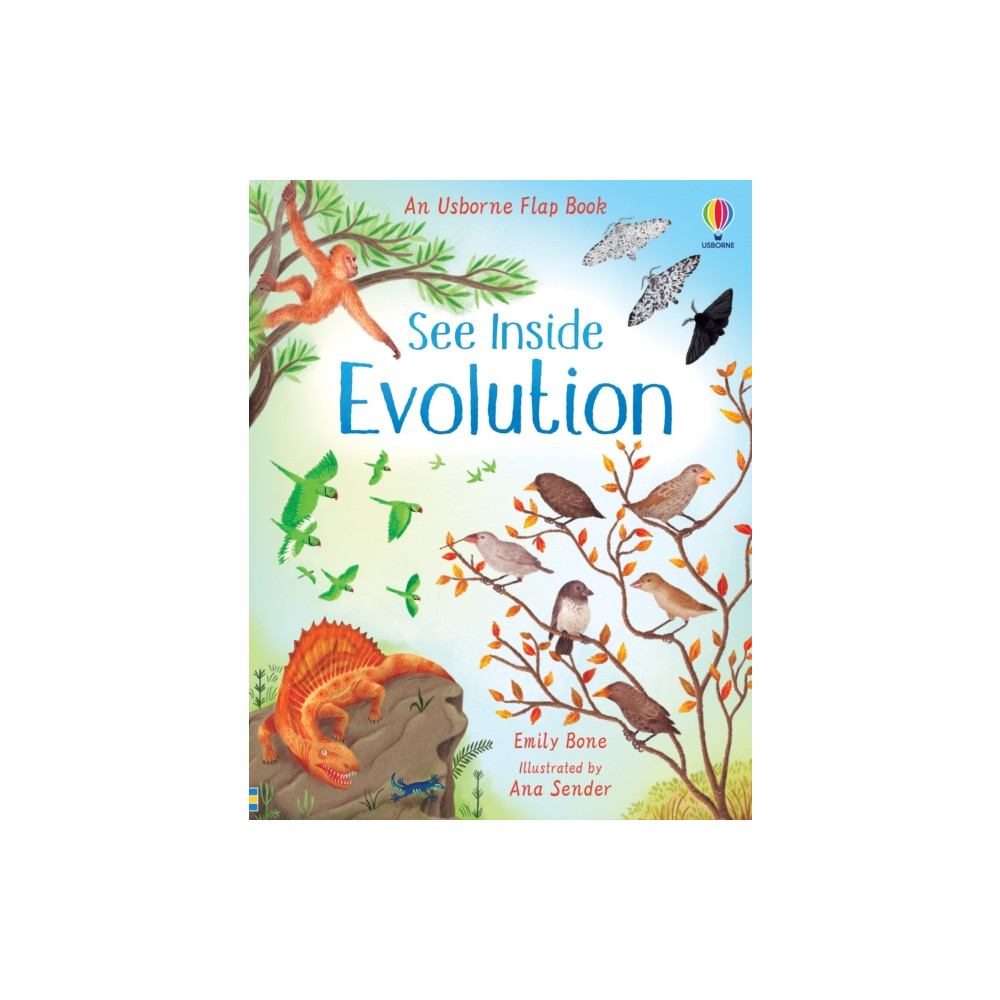 Produktbild för See Inside Evolution (bok, board book, eng)