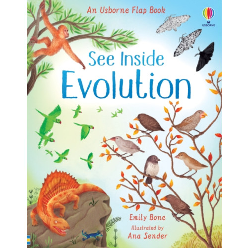 Usborne Publishing Ltd See Inside Evolution (bok, board book, eng)