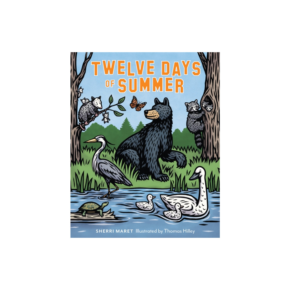 Produktbild för Twelve Days of Summer (inbunden, eng)