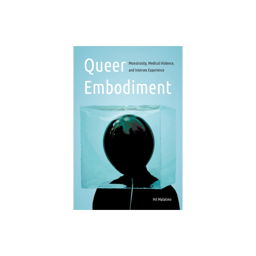 Produktbild för Queer Embodiment (häftad, eng)