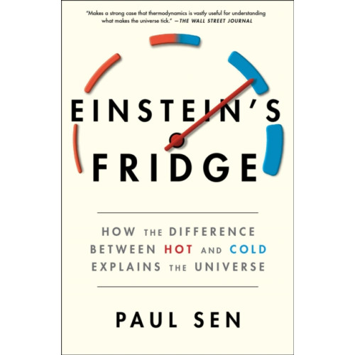 Scribner Einstein's Fridge (häftad, eng)