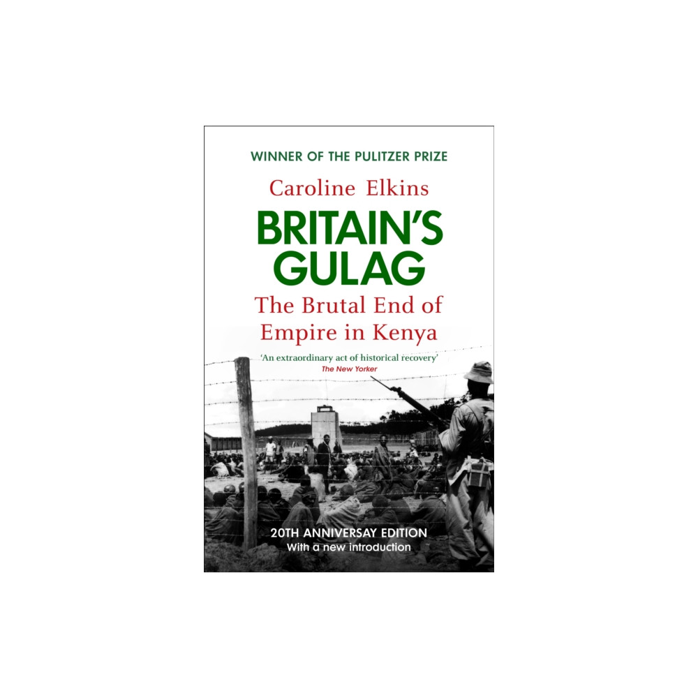 Produktbild för Britain's Gulag (häftad, eng)