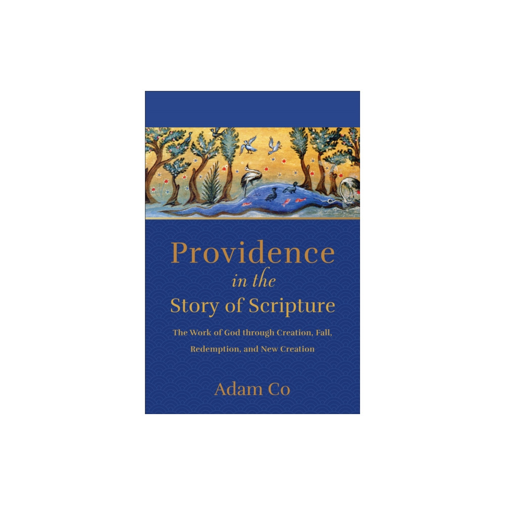 Produktbild för Providence in the Story of Scripture (häftad, eng)