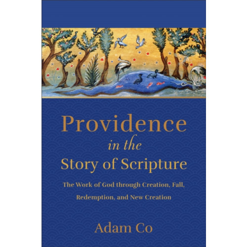 Baker publishing group Providence in the Story of Scripture (häftad, eng)