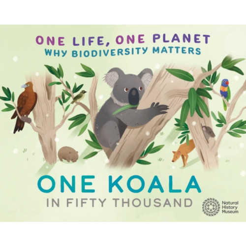 Hachette Children's Group One Life, One Planet: One Koala in Fifty Thousand (häftad, eng)