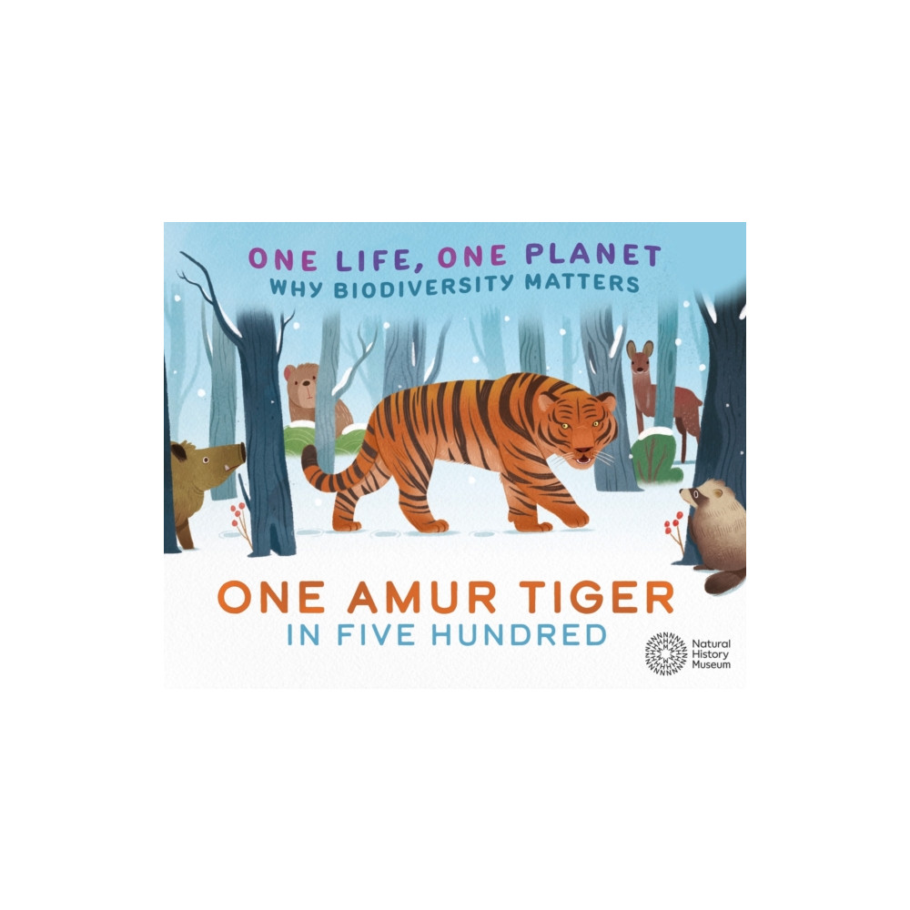 Produktbild för One Life, One Planet: One Amur Tiger in Five Hundred (häftad, eng)