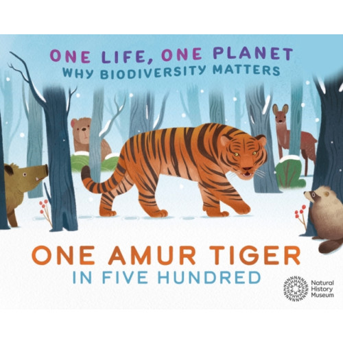 Hachette Children's Group One Life, One Planet: One Amur Tiger in Five Hundred (häftad, eng)