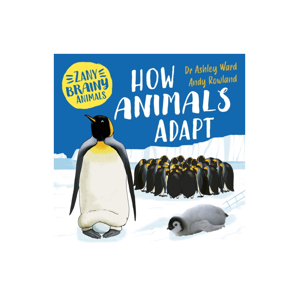 Produktbild för Zany Brainy Animals: How Animals Adapt (häftad, eng)