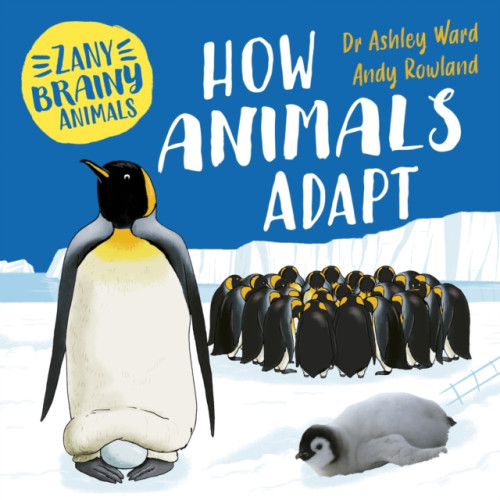 Hachette Children's Group Zany Brainy Animals: How Animals Adapt (häftad, eng)