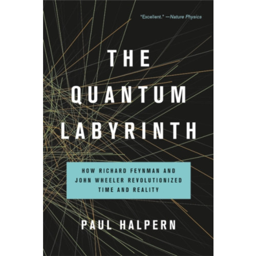 Basic Books The Quantum Labyrinth (häftad, eng)