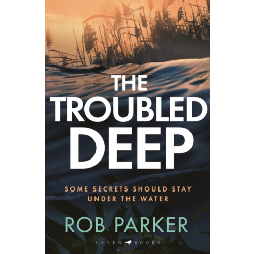 Bloomsbury Publishing PLC The Troubled Deep (inbunden, eng)